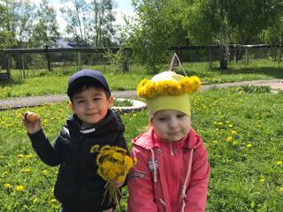 Всемирный День одуванчиков 