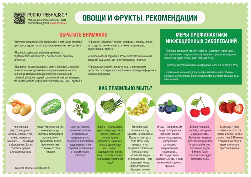 Как правильно выбирать и хранить овощи и фрукты