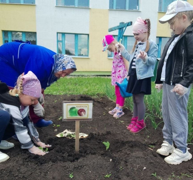 Для чего нужен огород в детском саду?