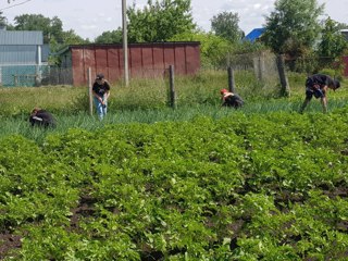 Летняя практика на пришкольном участке