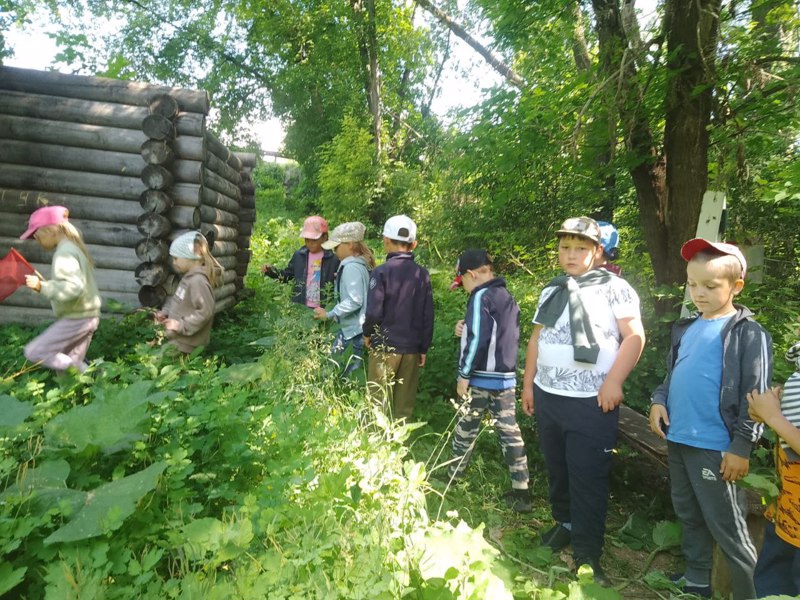 В пришкольном оздоровительном лагере «Солнышко» прошел «День экологии»