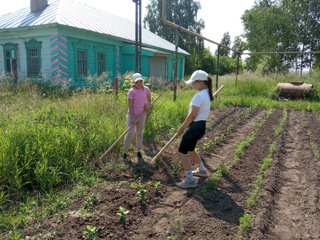 Трудовое лето школьников.