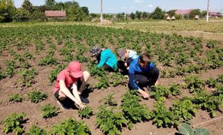 Дежурство на пришкольном участке