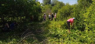 Коллектив МБОУ "Яльчикская СОШ" и обучающиеся школы регулярно проводят работы по расчистке дендрариума  и ухаживают за растениями