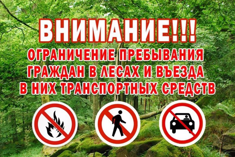 ВНИМАНИЕ! В связи с высокой пожарной опасностью в лесах Чувашской Республики…