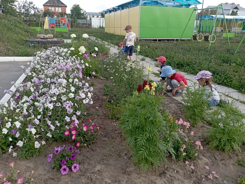 Трудимся в цветнике. 🌺