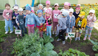 Потрудились мы на славу, первый урожай собрали.🥒🥕🥬🍅