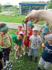 Наблюдение за живой природой 🌿