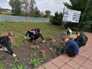 Пришкольный участок  требует постоянной заботы