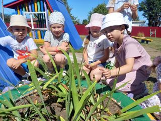 Лето – прекрасная пора для знакомства с окружающим миром.