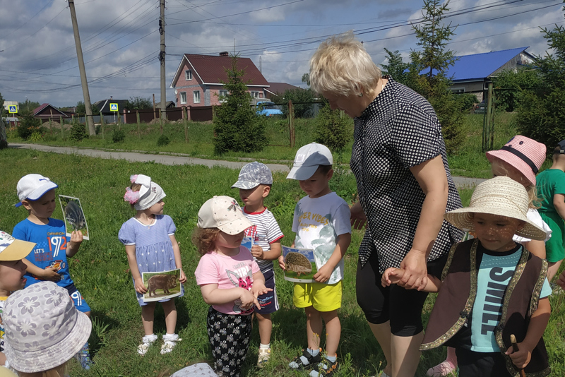 В гости к Лесовичку