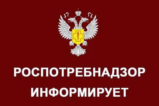 В чем причина популярности яблок?