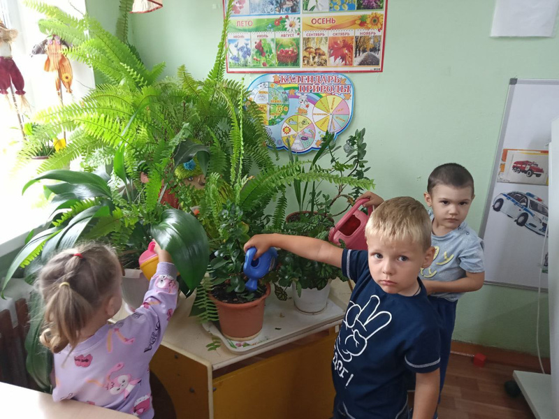 Дети второй группы раннего возраста очень любят наблюдать и ухаживать за комнатными растениями в уголке природы.