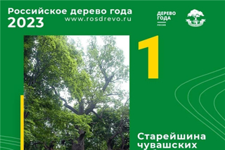 Приглашаем ребят принять участие в художественном конкурсе рисунков «Старейшина чувашских дубов» — Российское дерево года 2023»