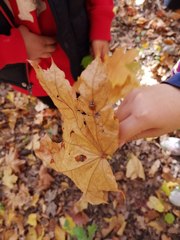 Золотая осень 🍂 