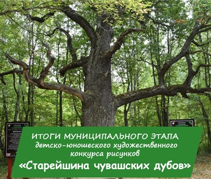 Подведены итоги муниципального этапа конкурса «Старейшина чувашских дубов»