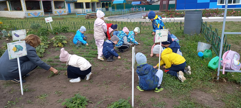 Дети трудятся в агролаборатории