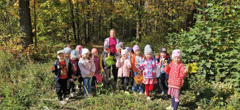 Осенняя прогулка в лес.