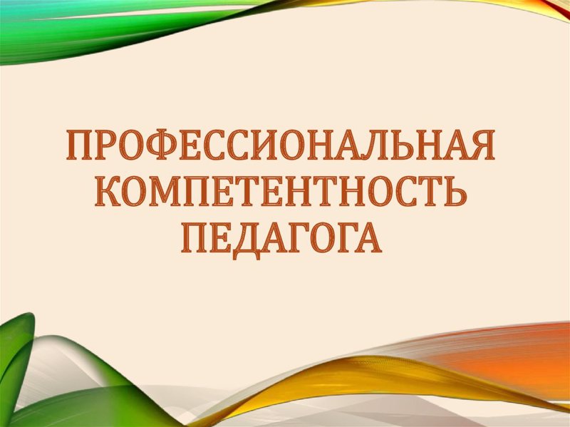 Профессиональная компетентность педагога