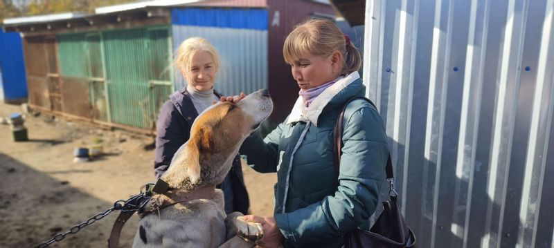 Студенты ЧТСГХ посетили приют для животных