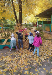 Прогулка по осеннему участку.