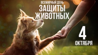 Всемирный день животных