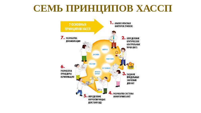 Нужно ли внедрять систему ХАССП в образовательных учреждениях?