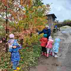 Как же здорово наблюдать за осенними  изменениями в природе прямо на участке детского сада, любуясь жёлтым , оранжевым, зелёным, пурпурным     цветом осенних листьев.