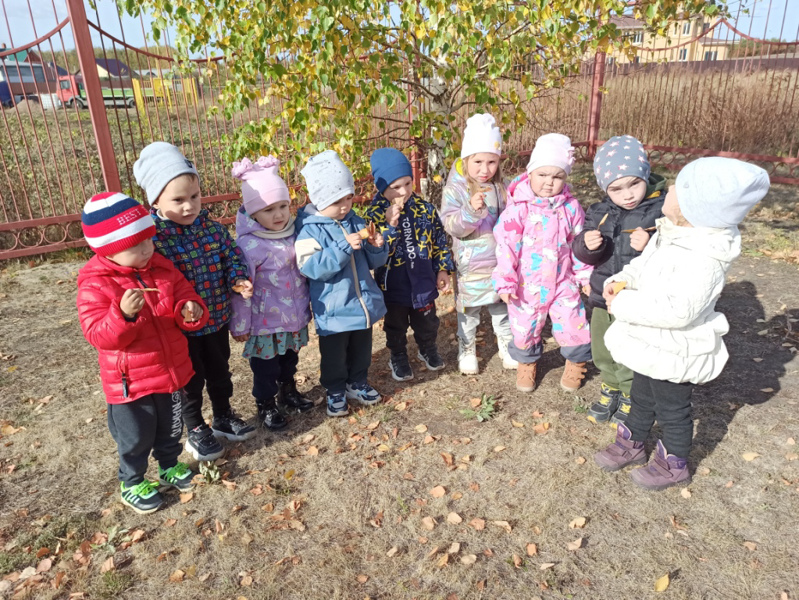 Мы по садику гуляли,за природой наблюдали.