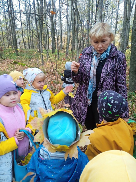 Прогулка по осеннему лесу с дошколятами.