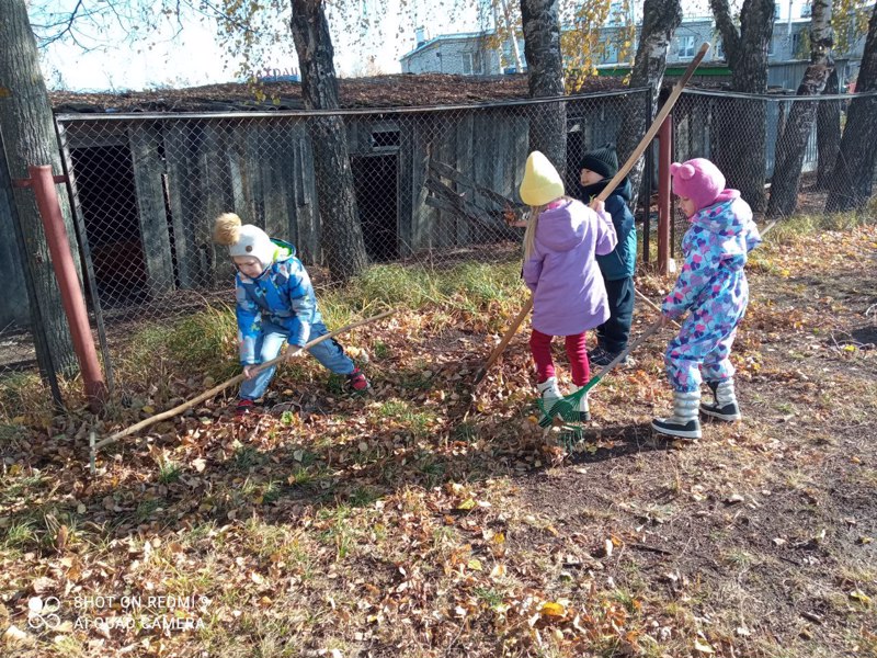 Трудовое воспитание на участке детского сада «Уборка опавших листьев»