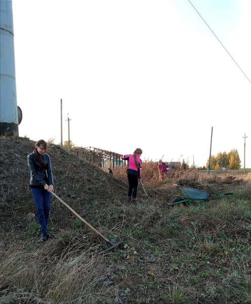 Волонтеры в деле