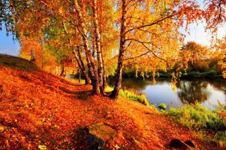 Осенние утренники" Осень в гости к нам пришла"
