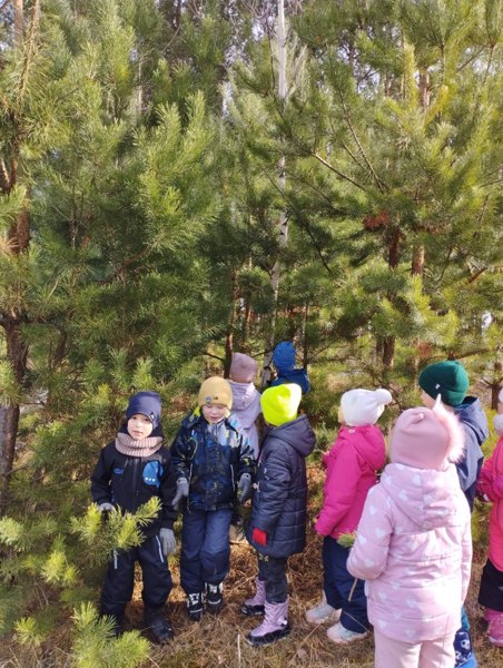 Осень, пожалуй, самое красивое время года