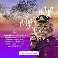 День словаря