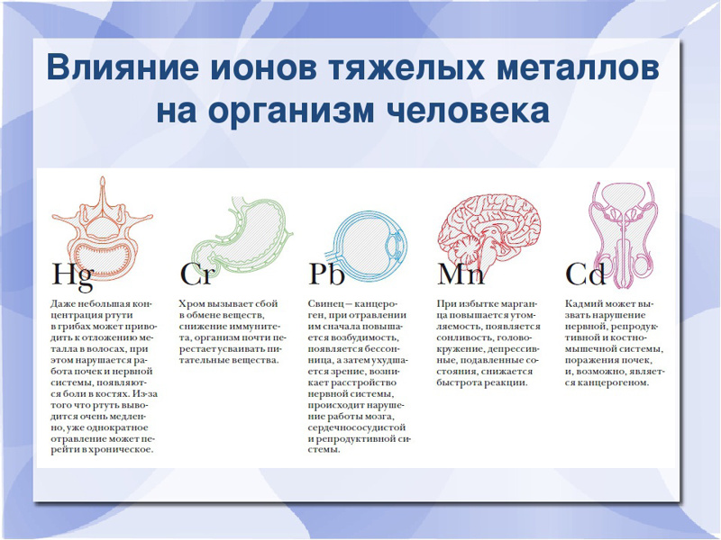 Вредное воздействие тяжелых металлов-ртути  на организм человека