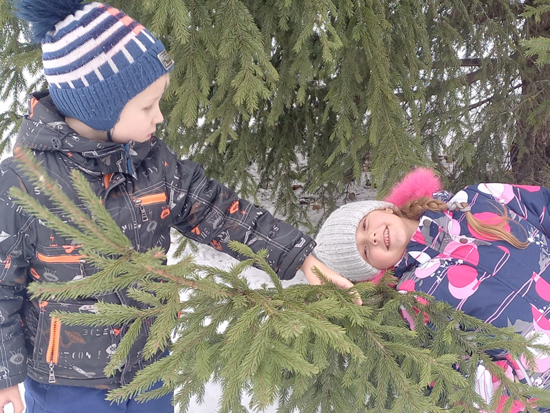 Душистая ветка ели с шарами