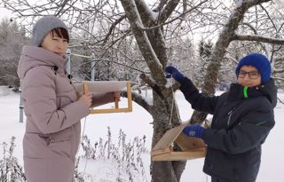 Облегчаем жизнь зимних пернатых