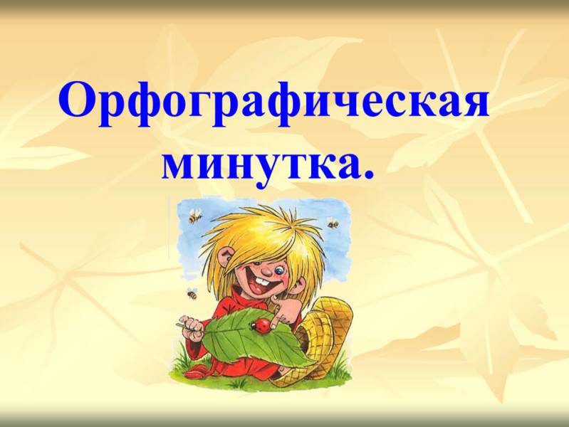 Орфографические минутки.