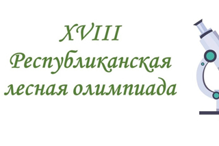 Дом творчества Яльчикского муниципального округа проводит муниципальный этап XVIII республиканской лесной олимпиады