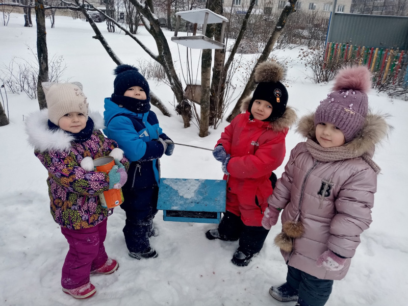 Акция  ﻿ Покормите птиц зимой"