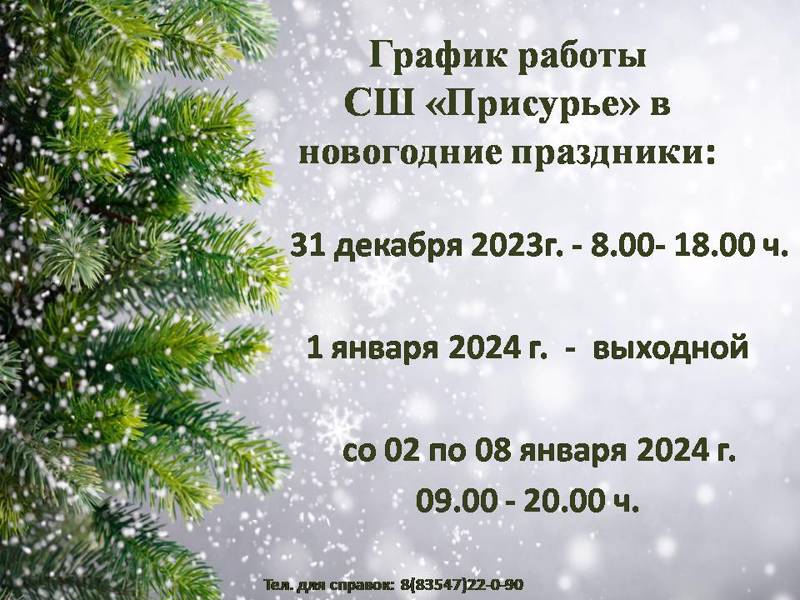 График работы СШ "Присурье" в новогодние праздники