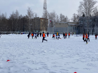 Товарищеский матч по футболу.