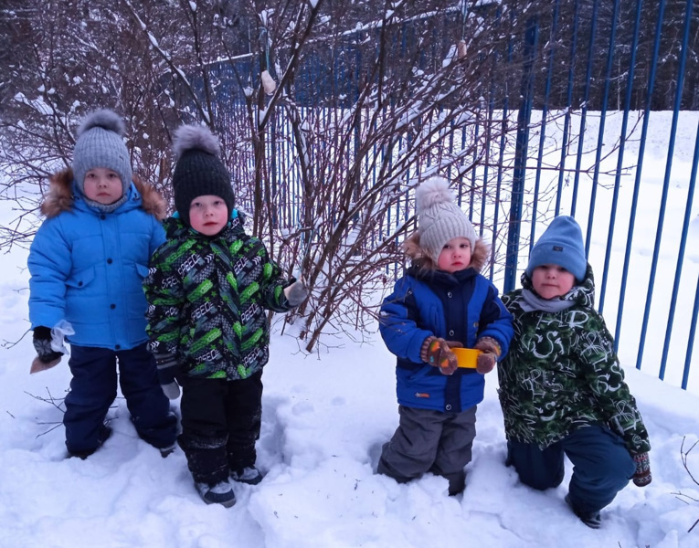 Зима для птиц - самое трудное время года