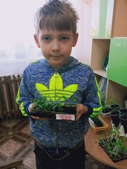 Следим за ростом растений