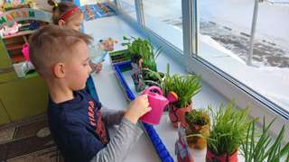 Реализация проекта "Агролаборатория в детском саду"