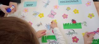 В группе продленного дня воспитатель Власова Светлана Анатольевна провела с первоклассниками игру-викторину  "Эти удивительные насекомые"