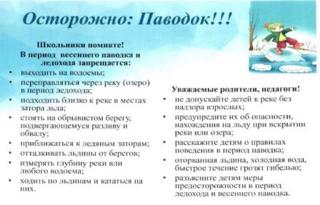 О правилах поведения учащихся 5 класса  во время весенних каникул