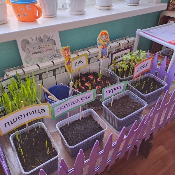 Мини-агролаборатории в нашем детском саду