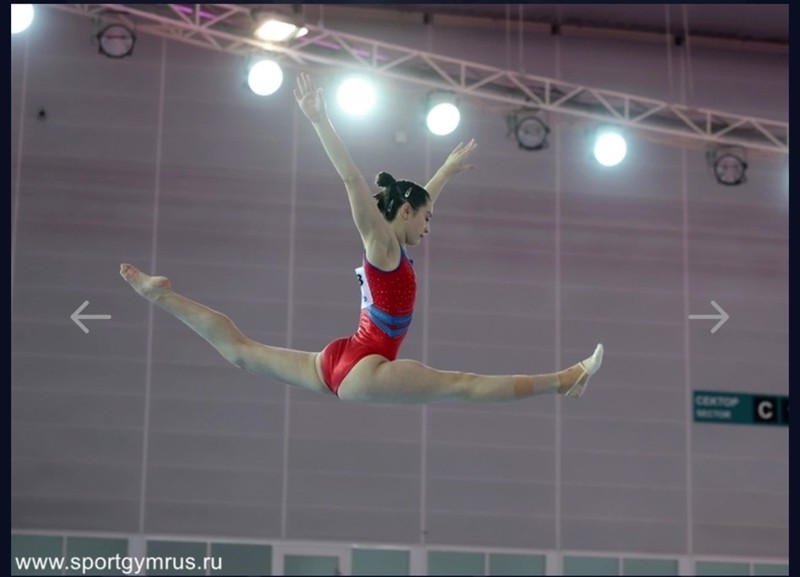 Чемпионат России по спортивной гимнастике